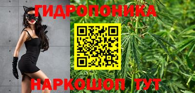стаф Заволжье