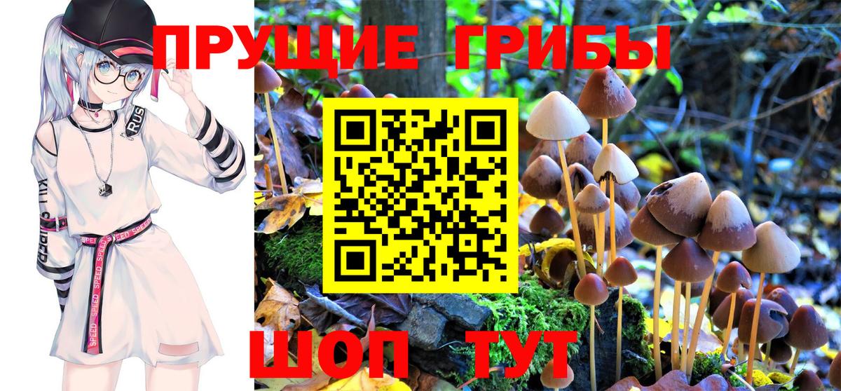 Галлюциногенные грибы Magic Shrooms  Вход с VPN  Лосино-Петровский  Галлюциногенные грибы Magic Shrooms 